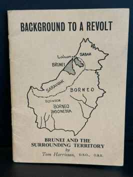 Background to a revolt.  Brunei and the surrounding territory.